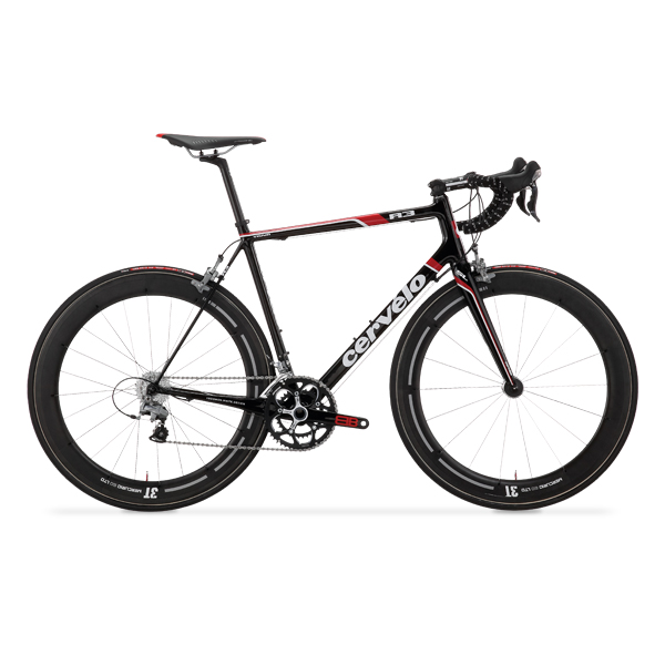 Duis a magna ipsum. Vestibulum sit amet augue mollis, vehicula n